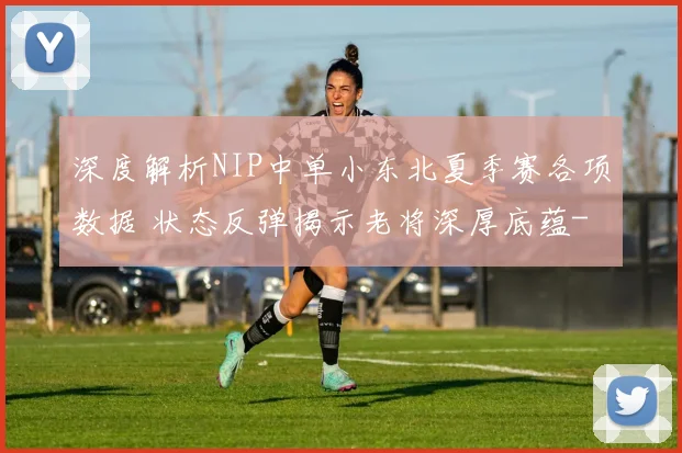 深度解析NIP中单小东北夏季赛各项数据 状态反弹揭示老将深厚底蕴
