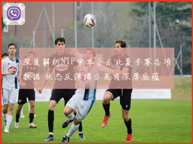 深度解析NIP中单小东北夏季赛各项数据 状态反弹揭示老将深厚底蕴