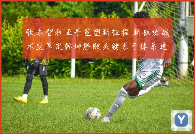 张本智和正手重塑新征程 新教练战术变革定乾坤胜败关键系于体系进化